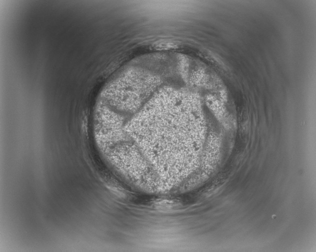 X0000072550315200608111846