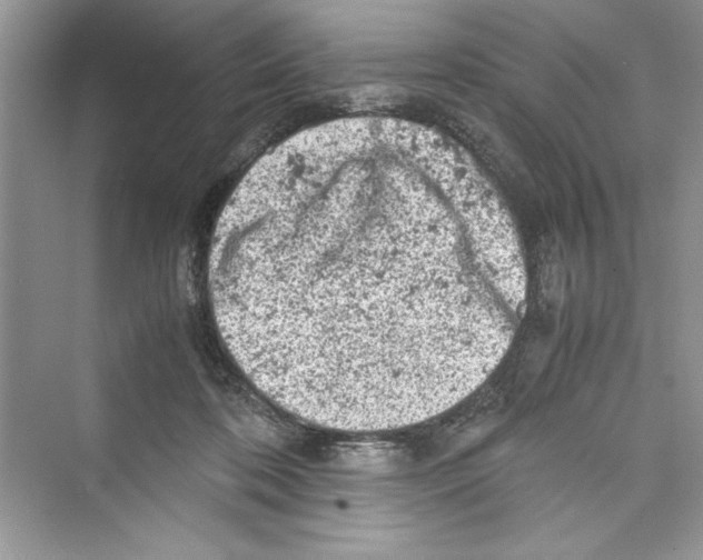 X0000072550316200608111846