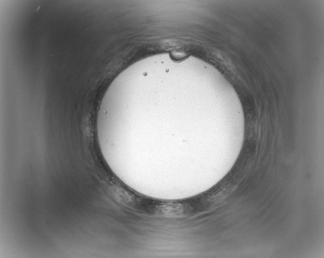 X0000072550317200608111845