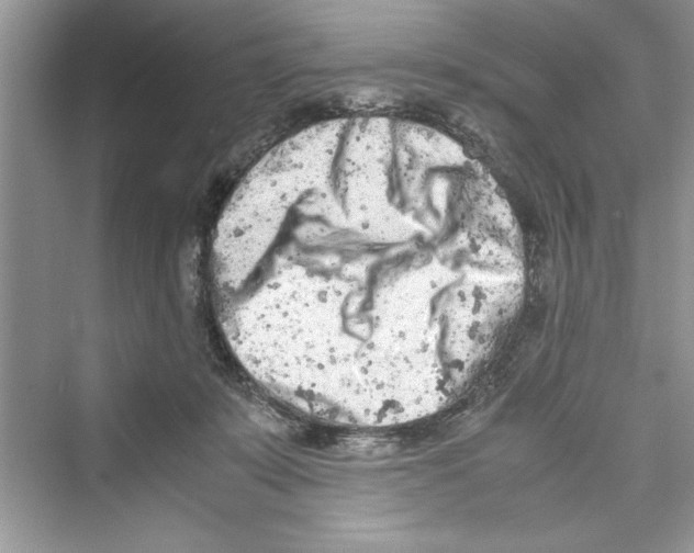 X0000072550319200608111845