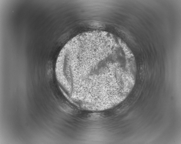 X0000072550320200608111845