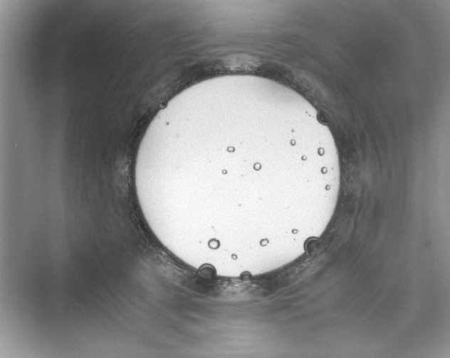 X0000072550321200608111845