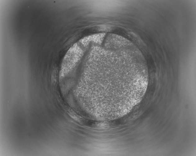 X0000072550325200608111845