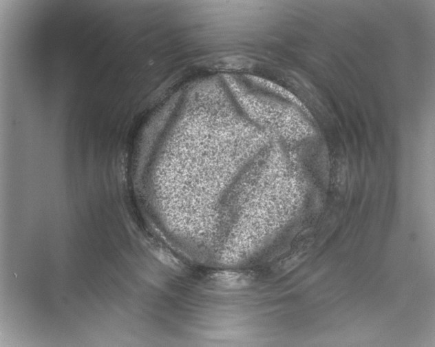 X0000072550326200608111845