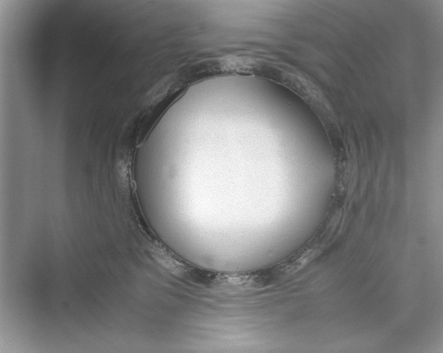 X0000072550329200608111845