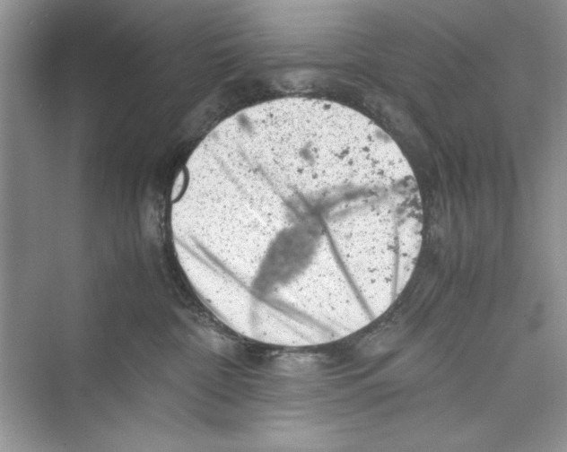 X0000072550332200608111845