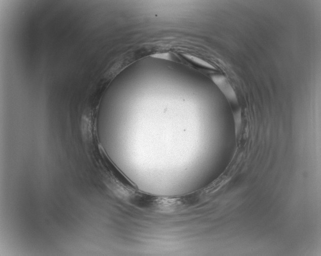 X0000072550333200608111845