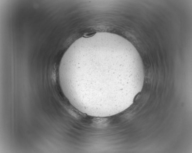 X0000072550334200608111845