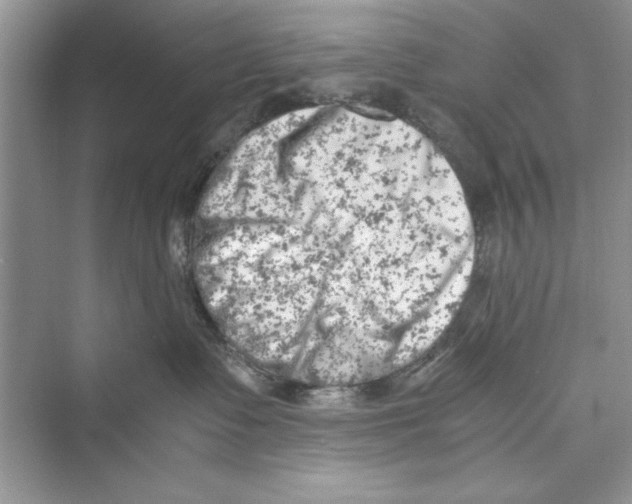 X0000072550335200608111845