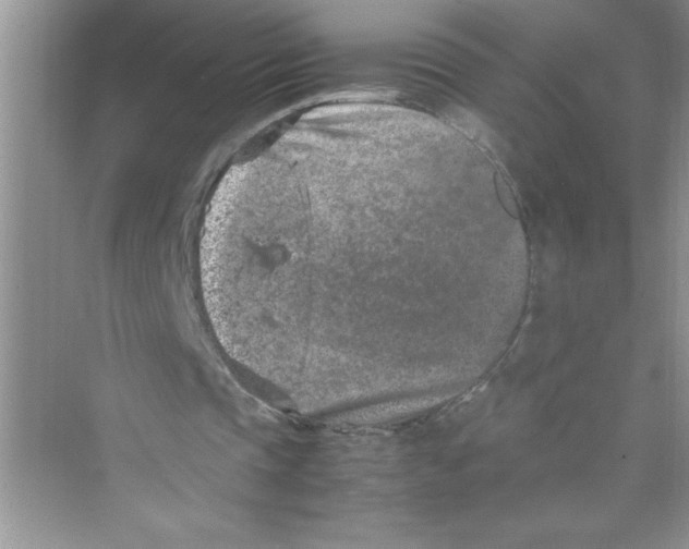 X0000072550337200608111844