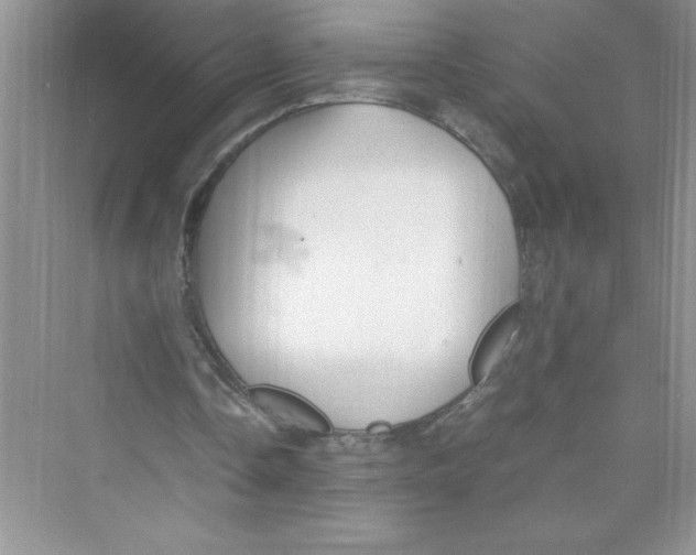 X0000072550338200608111844