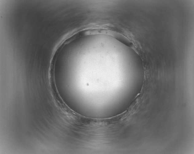 X0000072550340200608111844