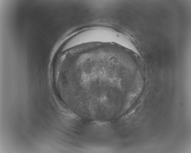 X0000072550343200608111844