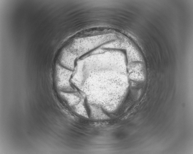 X0000072550345200608111844