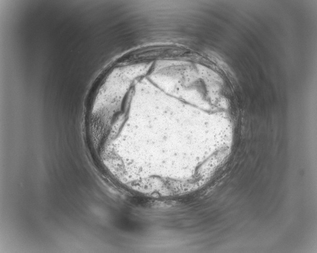 X0000072550346200608111845