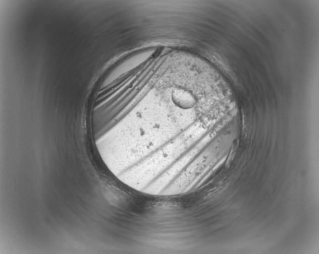 X0000072550348200608111845