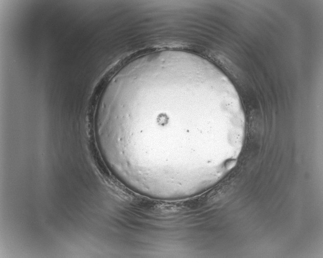 X0000072550351200608111845