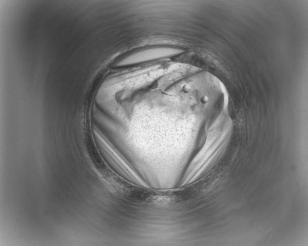 X0000072550352200608111845