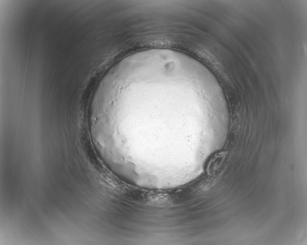 X0000072550355200608111845