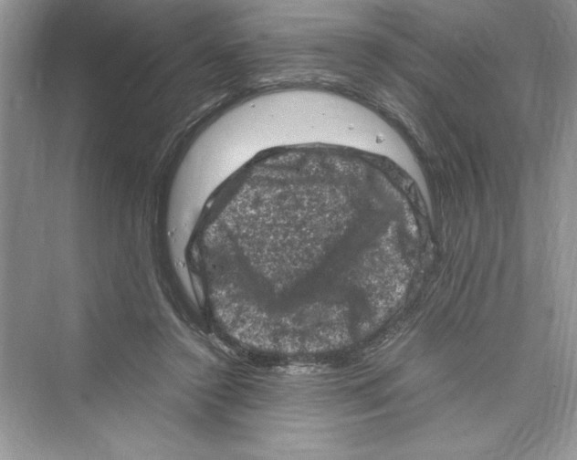 X0000072550356200608111845