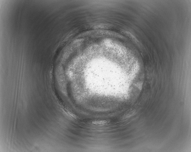 X0000072550357200608111845