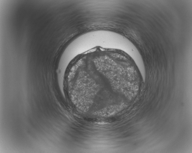 X0000072550360200608111845