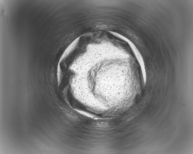 X0000072550361200608111845