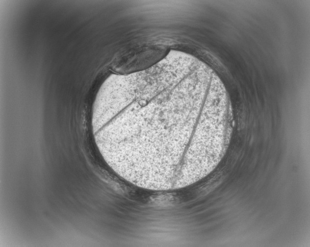 X0000072550362200608111845