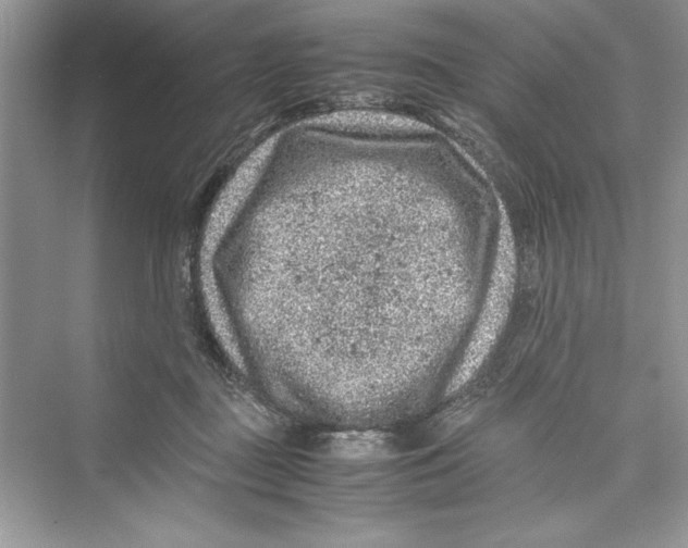 X0000072550363200608111845