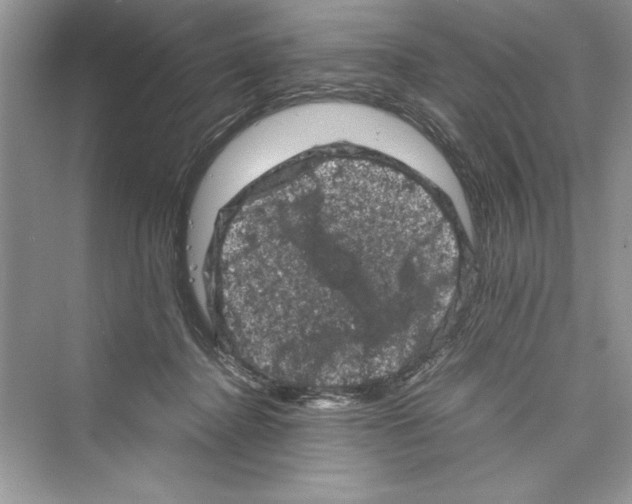 X0000072550364200608111845