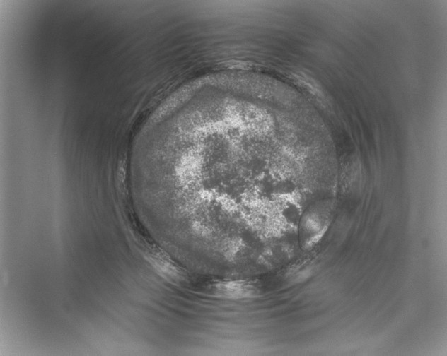 X0000072550365200608111845