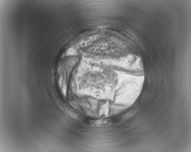 X0000072550366200608111845