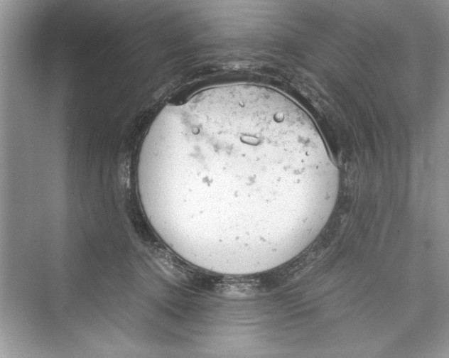 X0000072550368200608111845