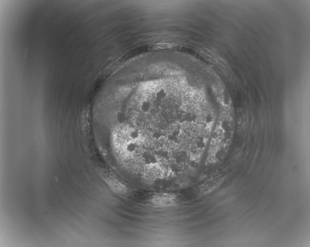 X0000072550369200608111845