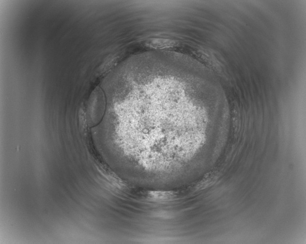 X0000072550371200608111845