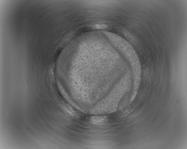 X0000072550373200608111845