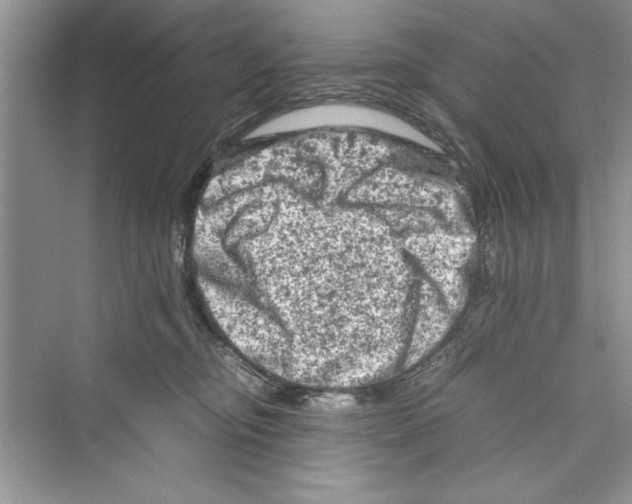 X0000072550374200608111845