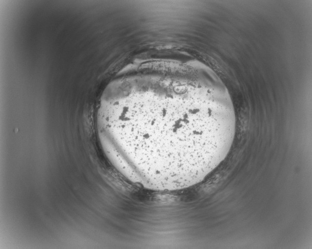 X0000072550376200608111845