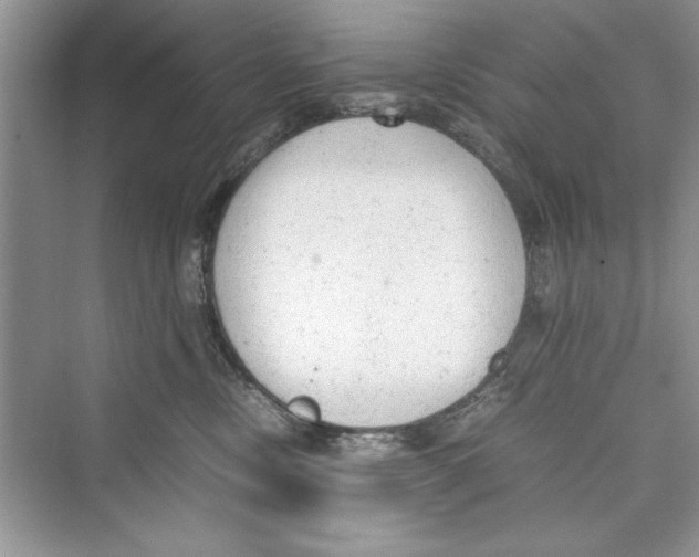 X0000072550378200608111845