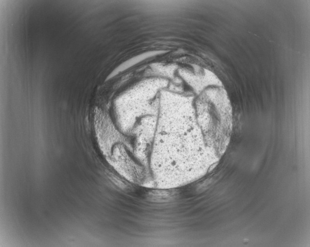 X0000072550381200608111845