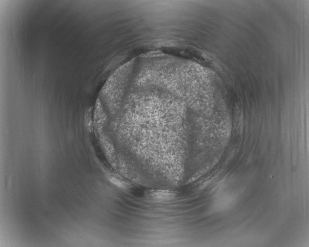 X0000072550383200608111845