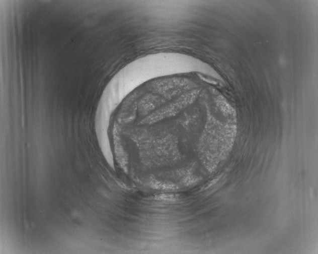 X0000072550384200608111845