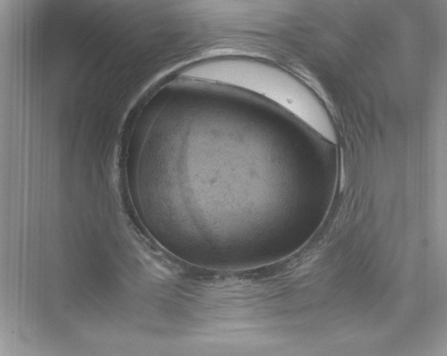 X0000072550387200608111844