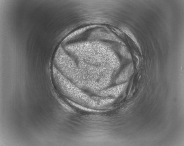 X0000072550389200608111844