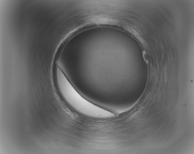 X0000072550391200608111844