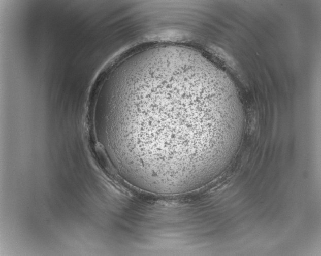 X0000072550392200608111844