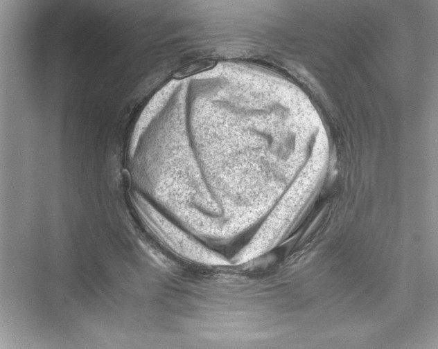 X0000072550393200608111844