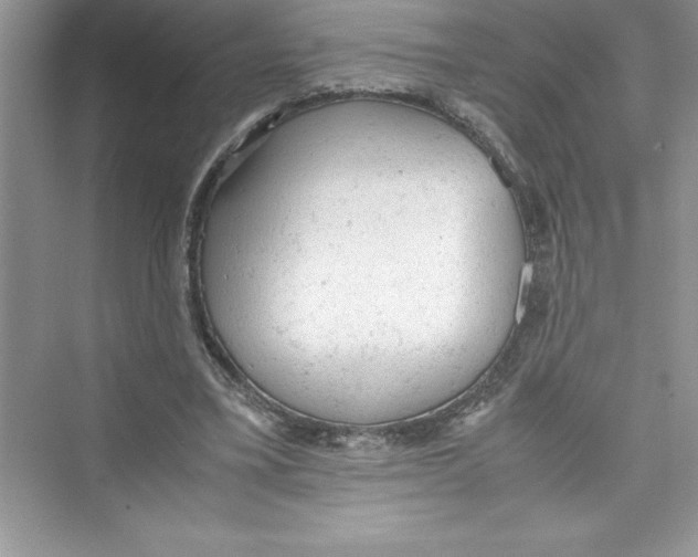 X0000072550395200608111844