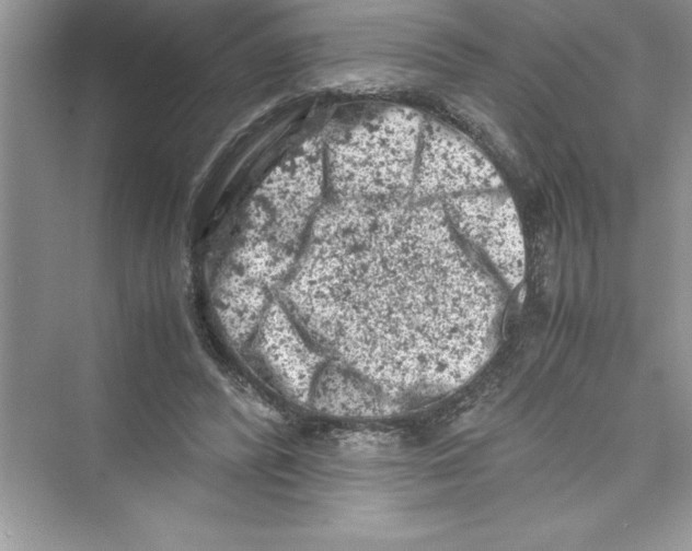 X0000072550400200608111844