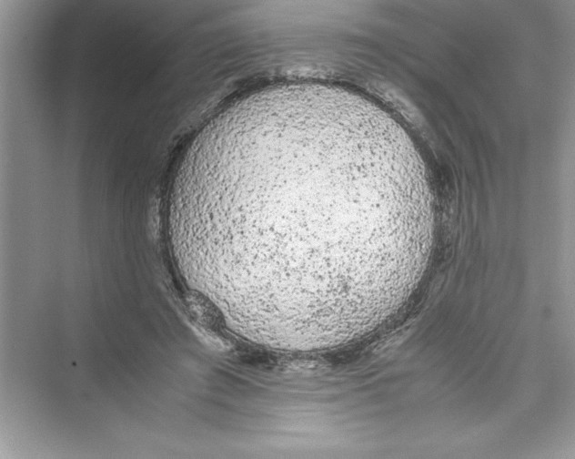 X0000072550401200608111844